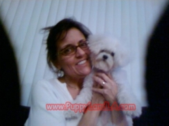 maltese princess
